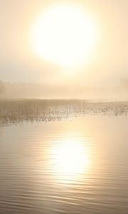 Preview wallpaper lake, sun, fog, trees