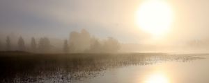 Preview wallpaper lake, sun, fog, trees
