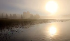 Preview wallpaper lake, sun, fog, trees