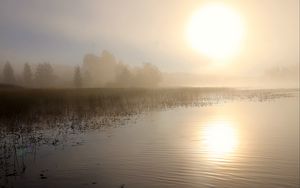 Preview wallpaper lake, sun, fog, trees