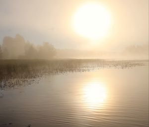 Preview wallpaper lake, sun, fog, trees