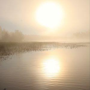 Preview wallpaper lake, sun, fog, trees