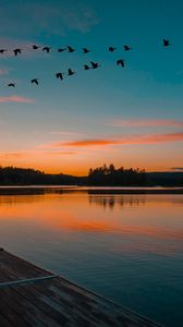 Preview wallpaper lake, sunset, birds, flight, horizon