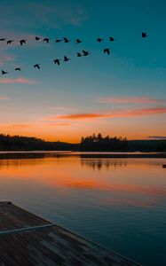 Preview wallpaper lake, sunset, birds, flight, horizon