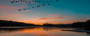 Preview wallpaper lake, sunset, birds, flight, horizon