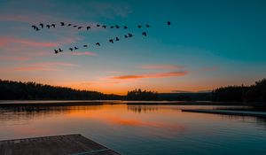 Preview wallpaper lake, sunset, birds, flight, horizon
