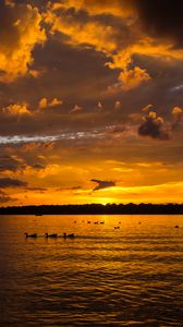 Preview wallpaper lake, sunset, ducks, evening, dusk