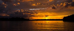 Preview wallpaper lake, sunset, ducks, evening, dusk