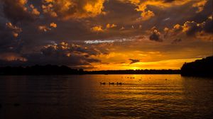 Preview wallpaper lake, sunset, ducks, evening, dusk