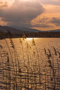 Preview wallpaper lake, sunset, dusk, evening, nature