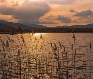 Preview wallpaper lake, sunset, dusk, evening, nature