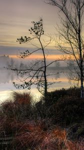 Preview wallpaper lake, sunset, fog, trees, landscape