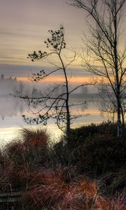 Preview wallpaper lake, sunset, fog, trees, landscape