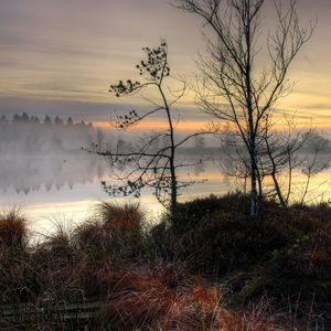 Preview wallpaper lake, sunset, fog, trees, landscape