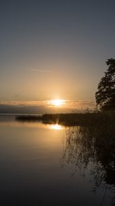 Preview wallpaper lake, sunset, landscape, shore, reed, tree