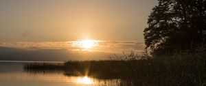 Preview wallpaper lake, sunset, landscape, shore, reed, tree