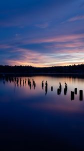 Preview wallpaper lake, sunset, silhouettes, birds, horizon, trees