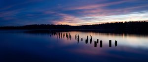 Preview wallpaper lake, sunset, silhouettes, birds, horizon, trees