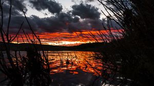 Preview wallpaper lake, sunset, sky, grass, yellowstone national park, united states