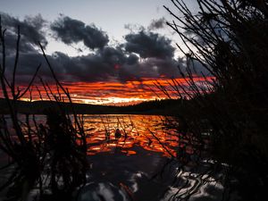 Preview wallpaper lake, sunset, sky, grass, yellowstone national park, united states