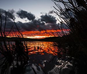 Preview wallpaper lake, sunset, sky, grass, yellowstone national park, united states