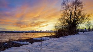 Preview wallpaper lake, sunset, tree, snow, winter, landscape