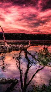 Preview wallpaper lake, sunset, trees, hdr