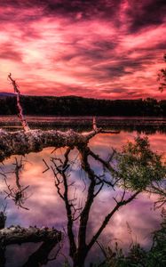 Preview wallpaper lake, sunset, trees, hdr