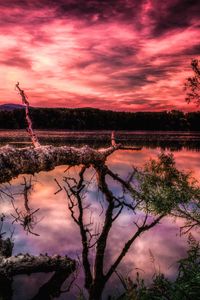 Preview wallpaper lake, sunset, trees, hdr