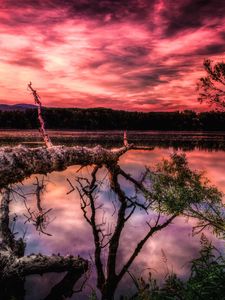 Preview wallpaper lake, sunset, trees, hdr