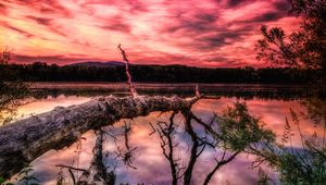 Preview wallpaper lake, sunset, trees, hdr