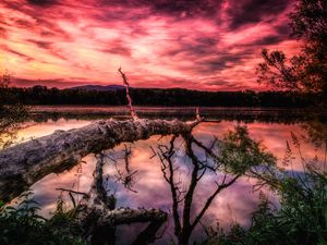 Preview wallpaper lake, sunset, trees, hdr