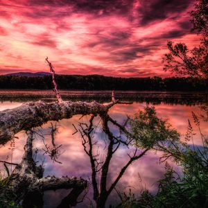 Preview wallpaper lake, sunset, trees, hdr