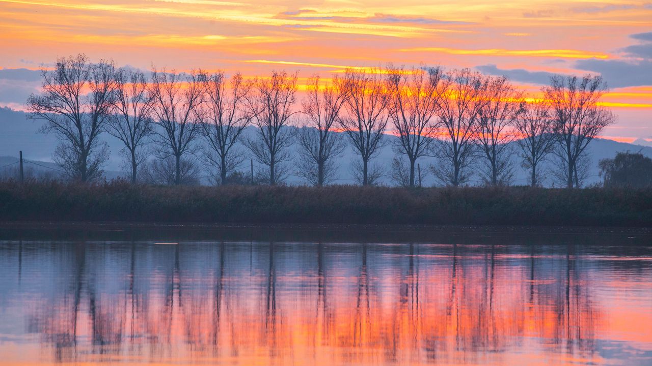 Wallpaper lake, sunset, trees, reflection
