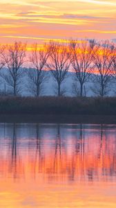 Preview wallpaper lake, sunset, trees, reflection