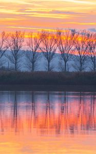 Preview wallpaper lake, sunset, trees, reflection