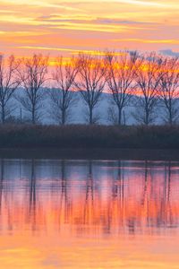 Preview wallpaper lake, sunset, trees, reflection