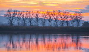 Preview wallpaper lake, sunset, trees, reflection