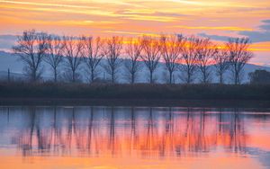 Preview wallpaper lake, sunset, trees, reflection