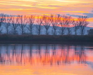 Preview wallpaper lake, sunset, trees, reflection