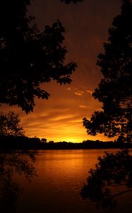 Preview wallpaper lake, sunset, trees, horizon, evening
