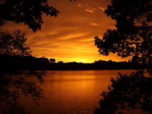 Preview wallpaper lake, sunset, trees, horizon, evening