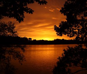 Preview wallpaper lake, sunset, trees, horizon, evening