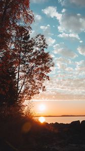 Preview wallpaper lake, sunset, trees, sky, horizon, branches, grass