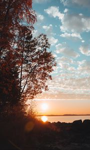 Preview wallpaper lake, sunset, trees, sky, horizon, branches, grass