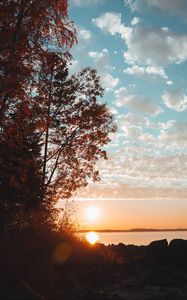 Preview wallpaper lake, sunset, trees, sky, horizon, branches, grass