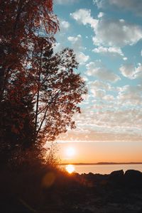 Preview wallpaper lake, sunset, trees, sky, horizon, branches, grass