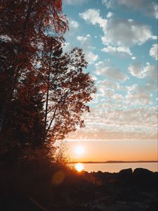 Preview wallpaper lake, sunset, trees, sky, horizon, branches, grass