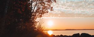 Preview wallpaper lake, sunset, trees, sky, horizon, branches, grass