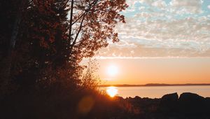 Preview wallpaper lake, sunset, trees, sky, horizon, branches, grass